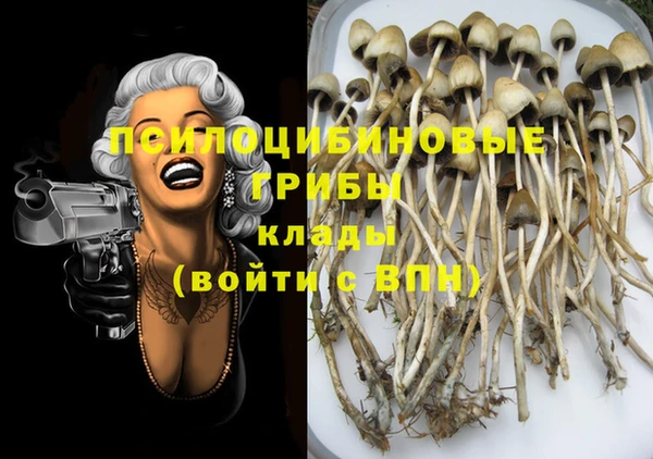 крисы Бронницы