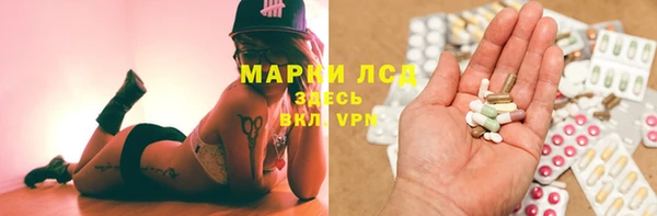 сатива Верея