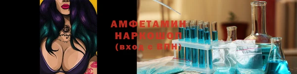сатива Верея