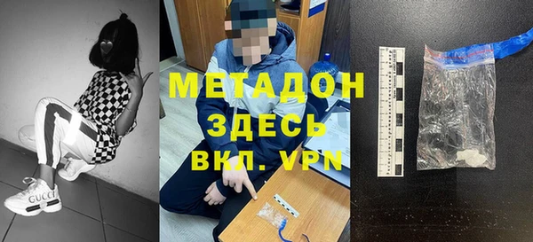 сатива Верея