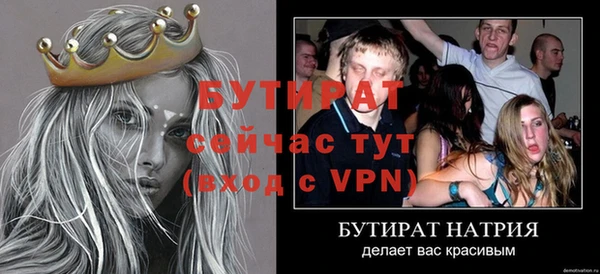 сатива Верея