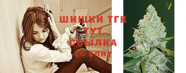 сатива Верея