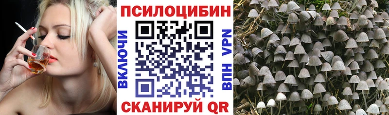 Галлюциногенные грибы Psilocybe  Вязьма 
